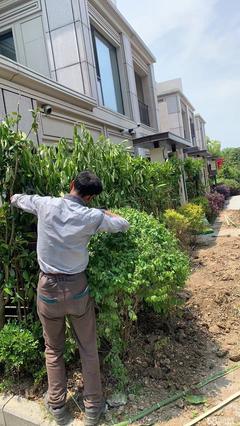 承接庭院綠化別墅綠化小區園區綠化工廠綠化施工養護 景觀施工 修剪除草