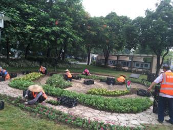 園林綠化 綠化工程 草坪種植養(yǎng)護(hù) 樹木修剪 花境種植 植物墻