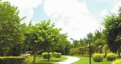 建設規劃中,工業用地的綠地率一般規定為多少