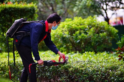 廣州綠化養(yǎng)護(hù)公司