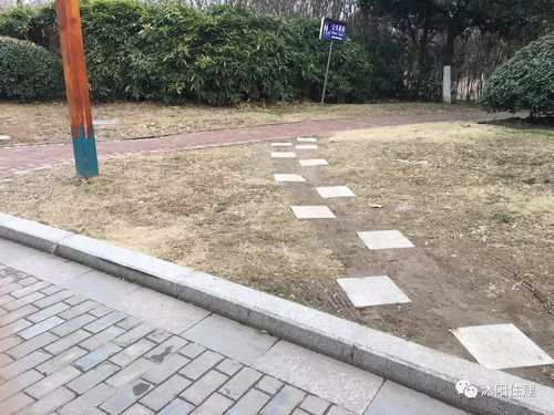 取消園林綠化施工資質,如何加強園林企業(yè)資質管理