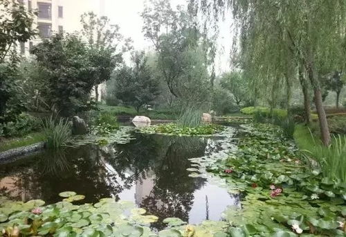 這些園林綠化工程施工技術規(guī)范,值得你花時間學習一下