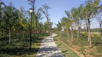 烏江河口公園可以開放了 證照聯(lián)辦,今后食品小經營店登記更加便利 嫣然天使基金惠及我市