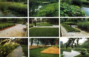 各種綠化、景觀鋪裝工程的設計與施工,園林綠化工程的養護;園林綠化苗木、草皮、花卉的種植,銷售(廣西南寧)_CO土木在線