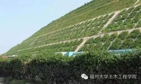 新技術(shù) 植生混凝土,讓建筑生機(jī)勃勃