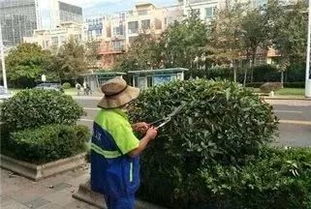 園林綠化工程中存在的部分問(wèn)題及建議