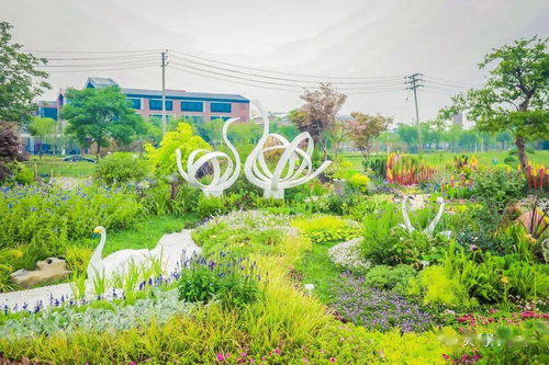 2021年河南省園林綠化花境競(jìng)賽部分參賽作品賞析