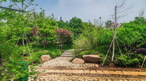 園林鋪裝大全,讓園林更具藝術(shù)