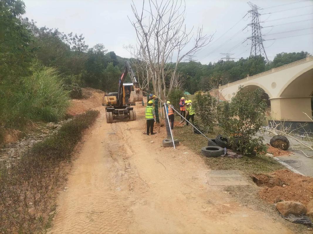 植樹節(jié),種樹#園林綠化工程 #施工現場實拍