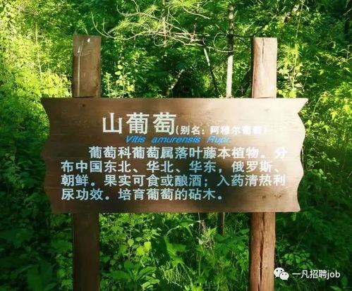 難得一見的園林綠化施工過程全記錄