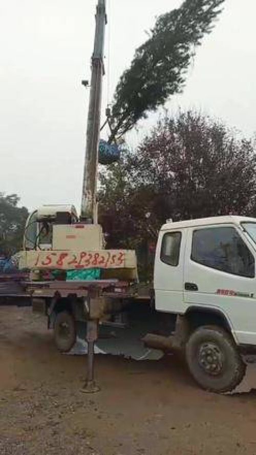 園林綠化工程苗木人 加油干就完了