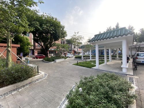 厚街鎮(zhèn)積極推進園林綠化品質(zhì)提升工程，5個口袋公園建成落地