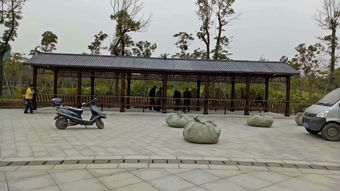 生態(tài)木花架與體育場地設施工程施工 價格、耐用性與施工指南