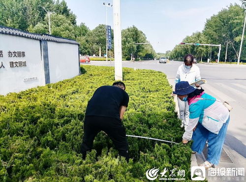 青州市園林綠化和環(huán)衛(wèi)中心 卡準綠化施工精度尺，拉緊項目驗收質量繩——以高標準打造體育場地設施工程